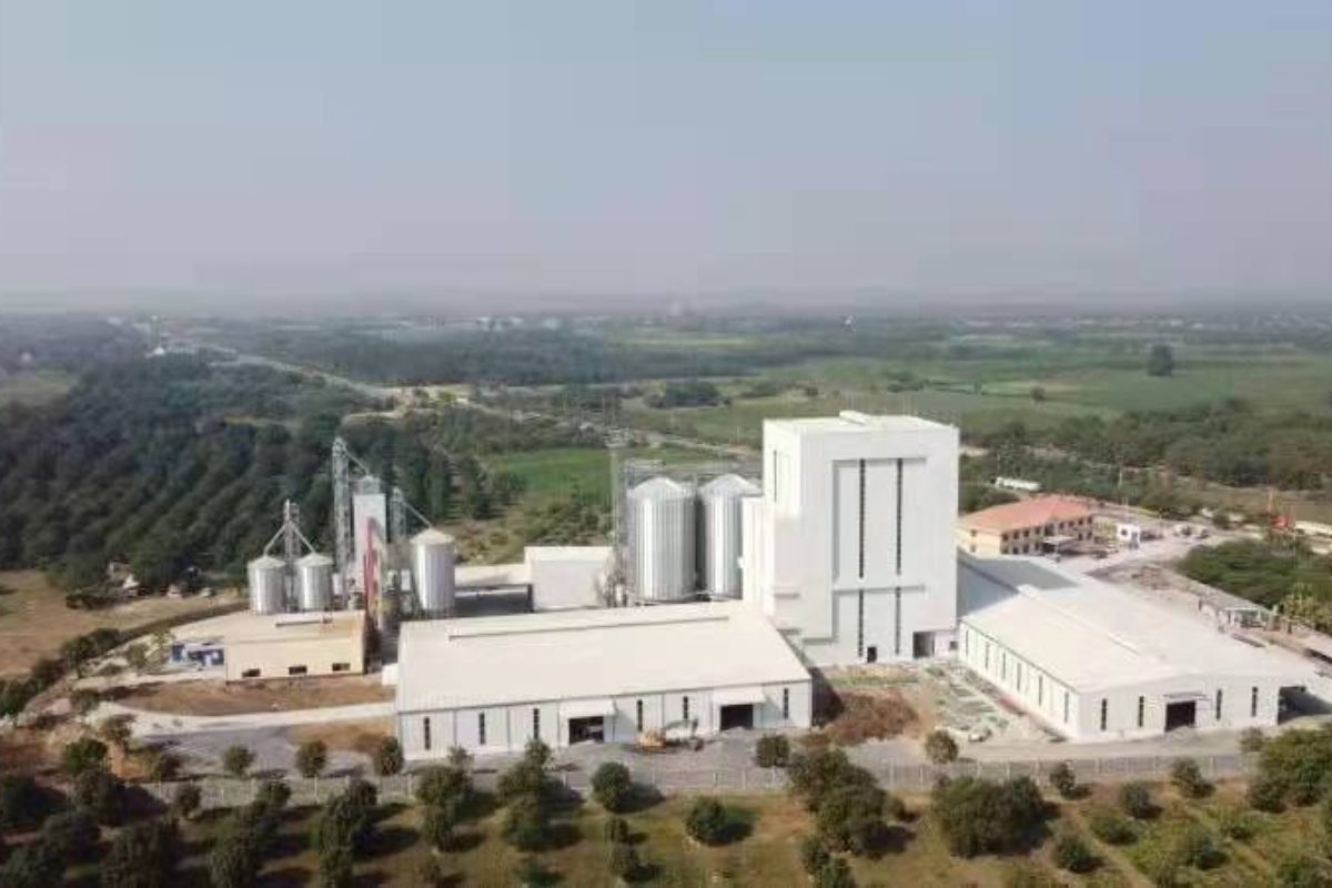 New Hope Mandalay Livestock Factoy Construction Project By Myanmar Yi JIn Steel Structure Company Limited Construction Project